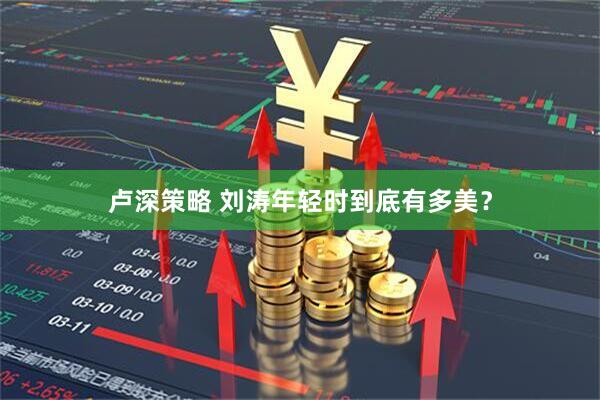 卢深策略 刘涛年轻时到底有多美？
