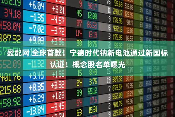 盈配网 全球首款！宁德时代钠新电池通过新国标认证！概念股名单曝光