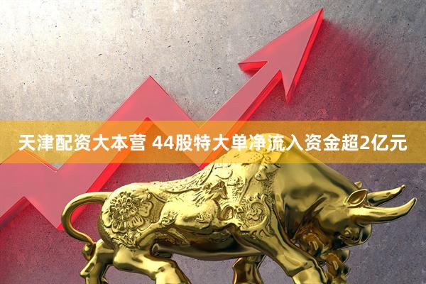 天津配资大本营 44股特大单净流入资金超2亿元