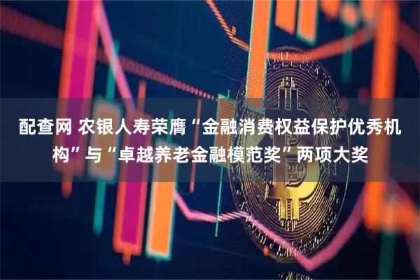 配查网 农银人寿荣膺“金融消费权益保护优秀机构”与“卓越养老金融模范奖”两项大奖