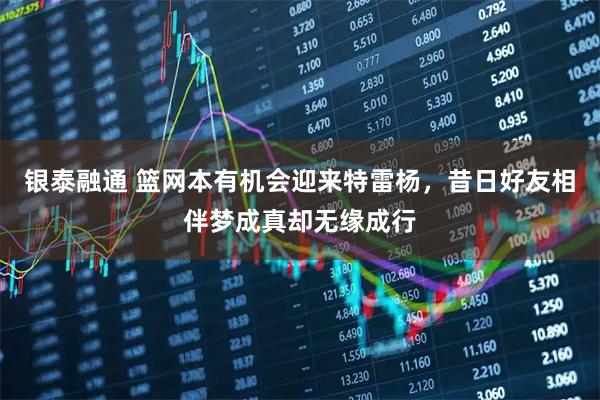 银泰融通 篮网本有机会迎来特雷杨，昔日好友相伴梦成真却无缘成行