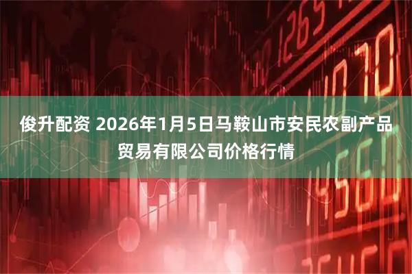 俊升配资 2026年1月5日马鞍山市安民农副产品贸易有限公司价格行情