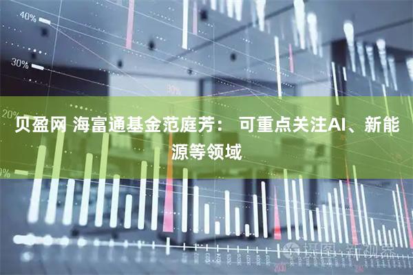 贝盈网 海富通基金范庭芳： 可重点关注AI、新能源等领域