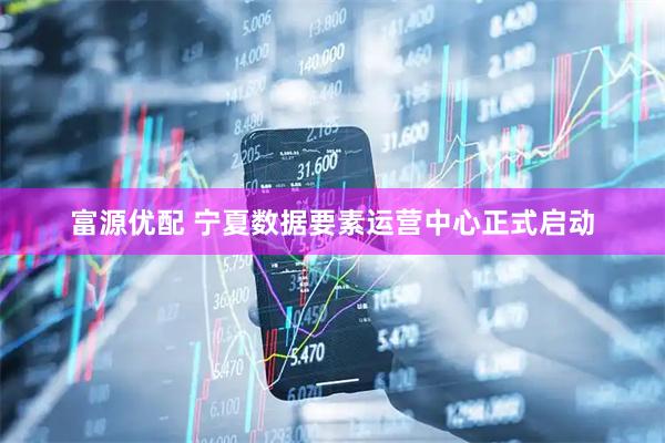 富源优配 宁夏数据要素运营中心正式启动
