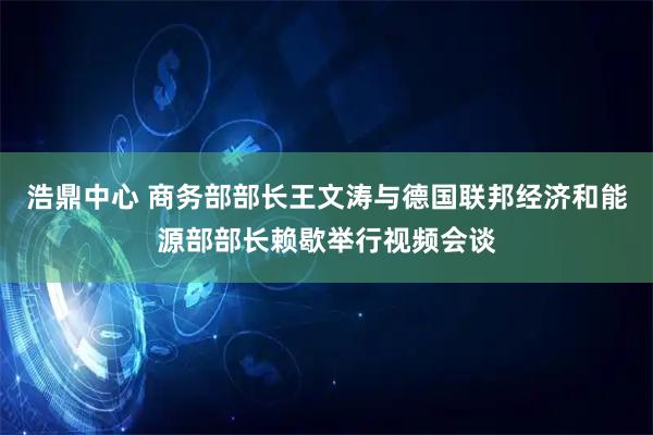 浩鼎中心 商务部部长王文涛与德国联邦经济和能源部部长赖歇举行视频会谈