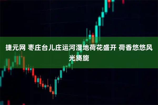 捷元网 枣庄台儿庄运河湿地荷花盛开 荷香悠悠风光旖旎