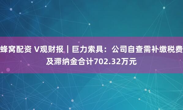 蜂窝配资 V观财报｜巨力索具：公司自查需补缴税费及滞纳金合计702.32万元